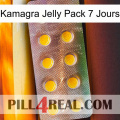 Kamagra Jelly 7 Day Pack new11